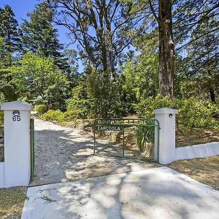 Carcoola Blackheath Exterior foto