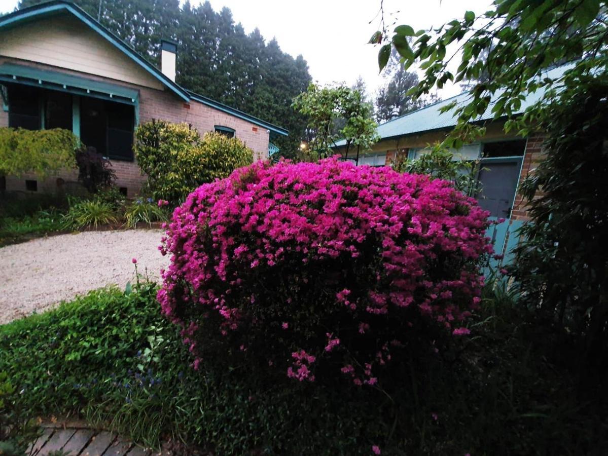 Carcoola Blackheath Exterior foto
