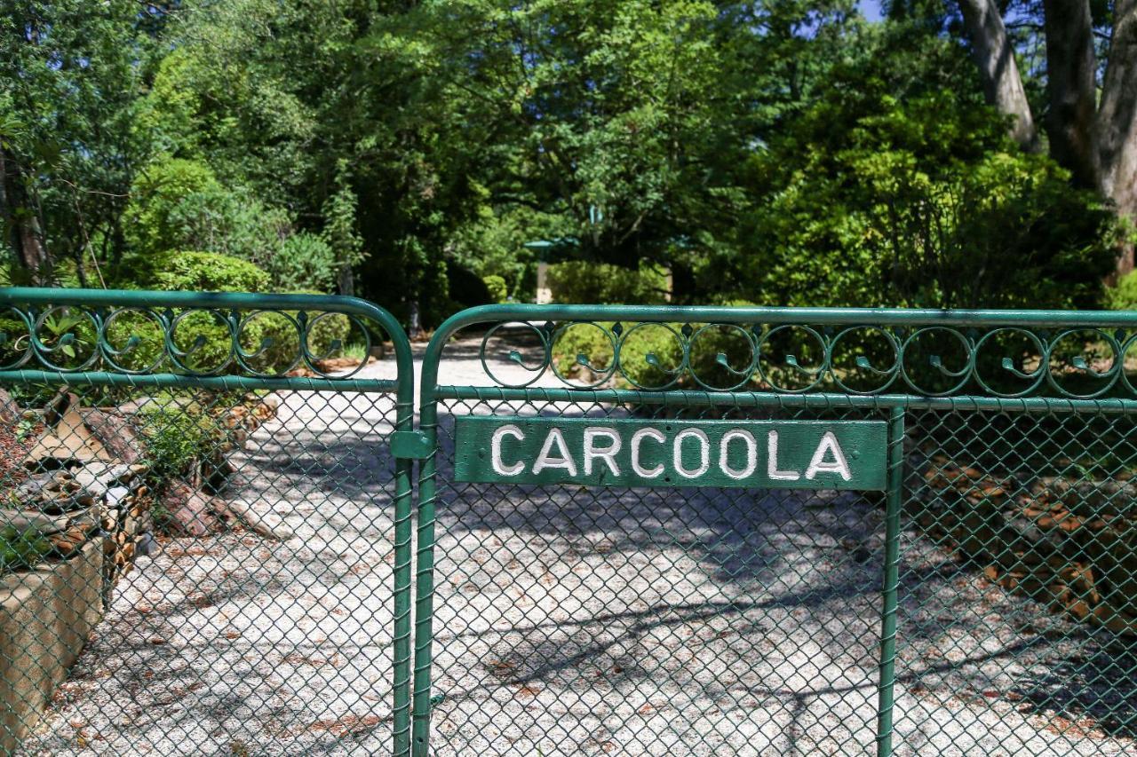 Carcoola Blackheath Exterior foto
